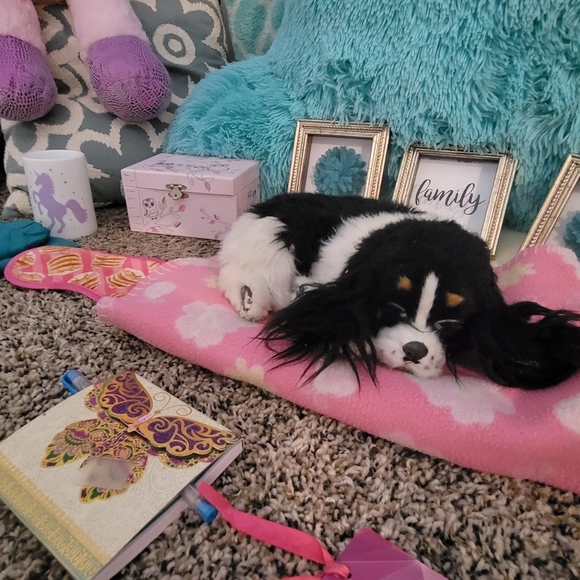 two twin plush twin beds with Mattress/boxspring, karaoke, toys, furniture &more - Picture 7 of 16